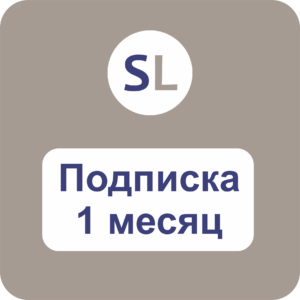 Подписка на месяц